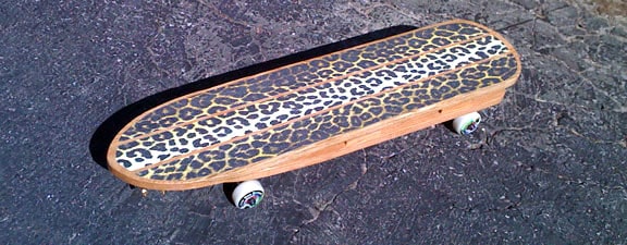 SBM Skateboard Lapsteel Guitar!