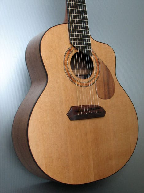 New SBM 9-string acoustic guitar