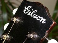 Don’t Modify Your guitar